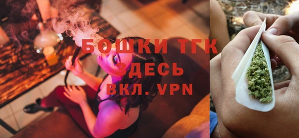 сатива Абаза