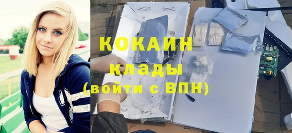 сатива Абаза