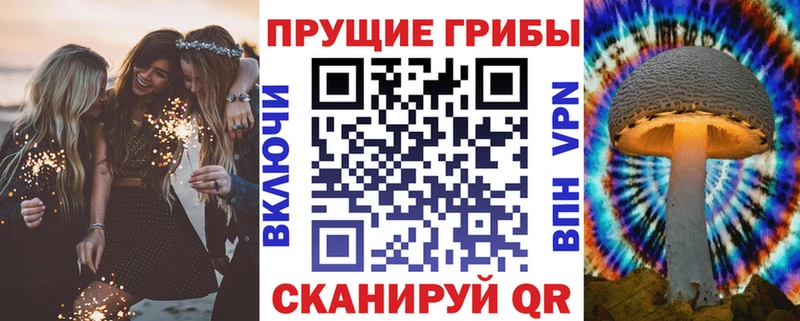 Галлюциногенные грибы Cubensis  Южа 